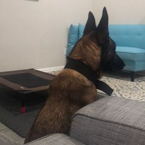 Meet your Posher, Darunee